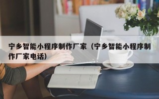 桓台宁乡智能小程序制作厂家（宁乡智能小程序制作厂家电话）