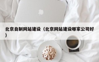桓台北京自制网站建设（北京网站建设哪家公司好）